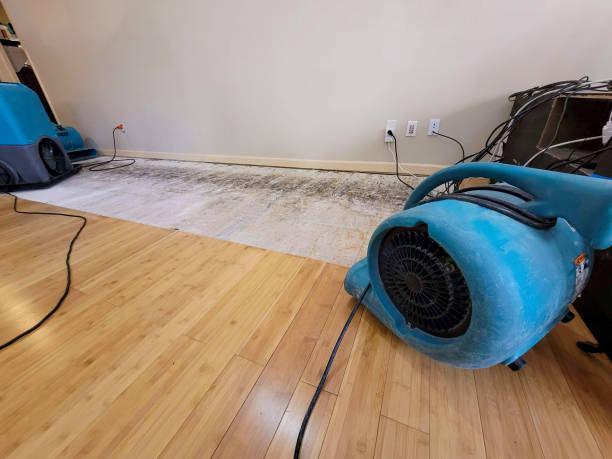 Professional Water Removal technician working in Acworth, GA